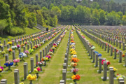 Uploaded Image